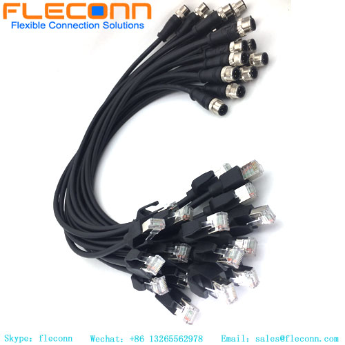 M12 D-coded To RJ45 Cable