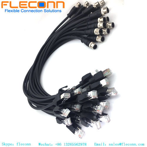 M12 D-coded Cable
